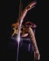 ROYALE złote buty do exotic pole dance.jpg